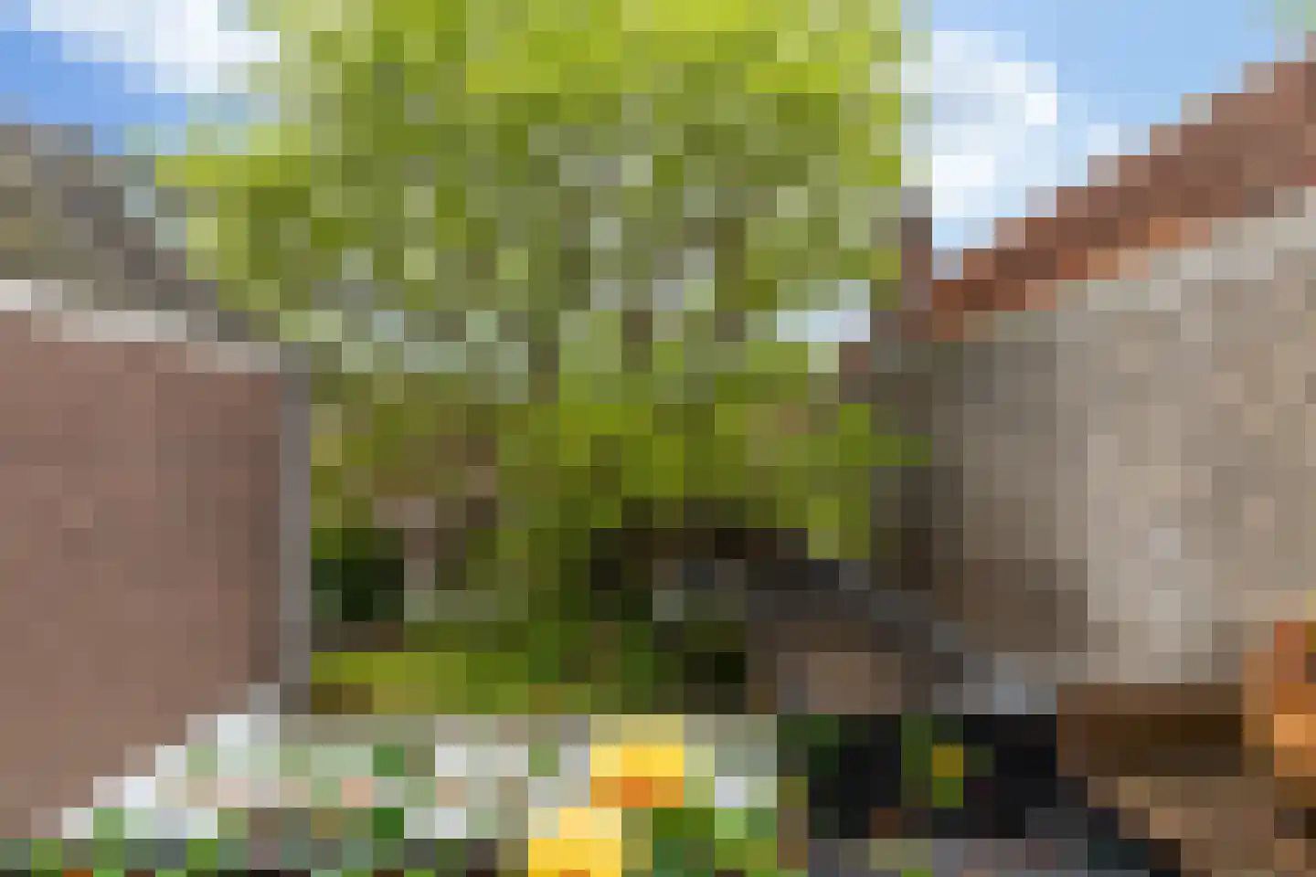 Vest 171 Dordrecht thumbnail 11