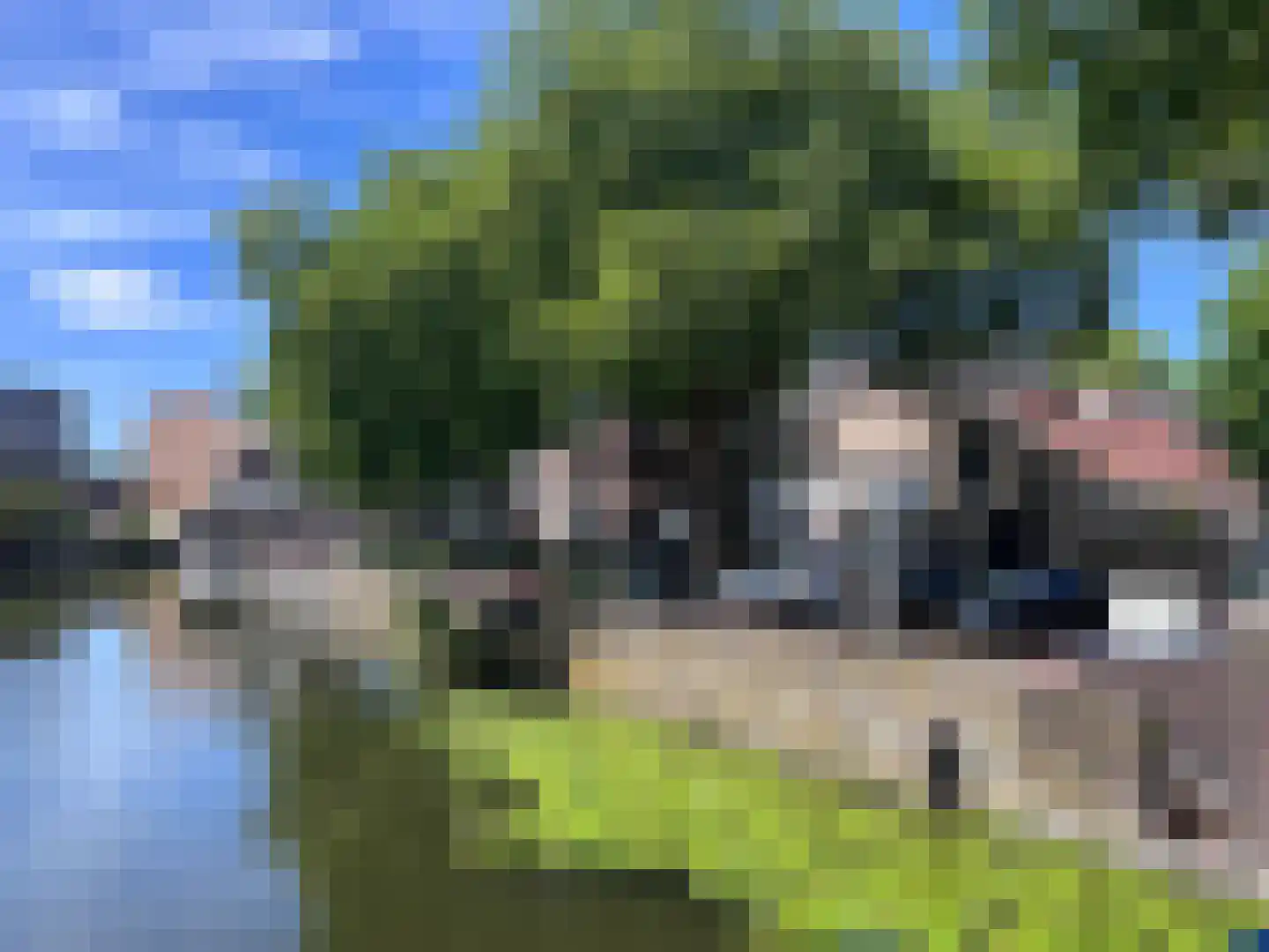 Vest 171 Dordrecht thumbnail 4
