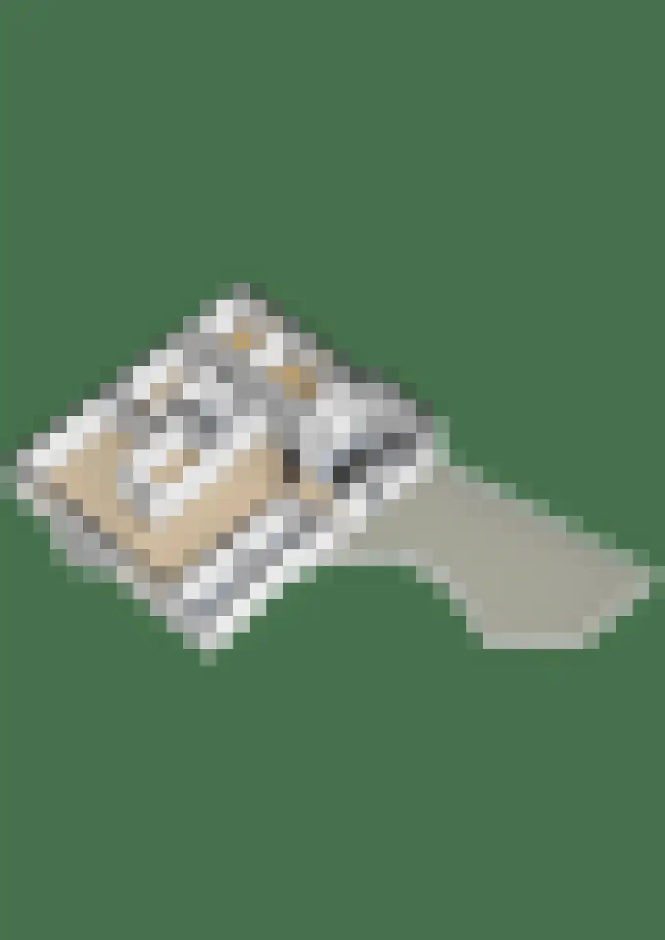 Vest 63 Gouda thumbnail 53