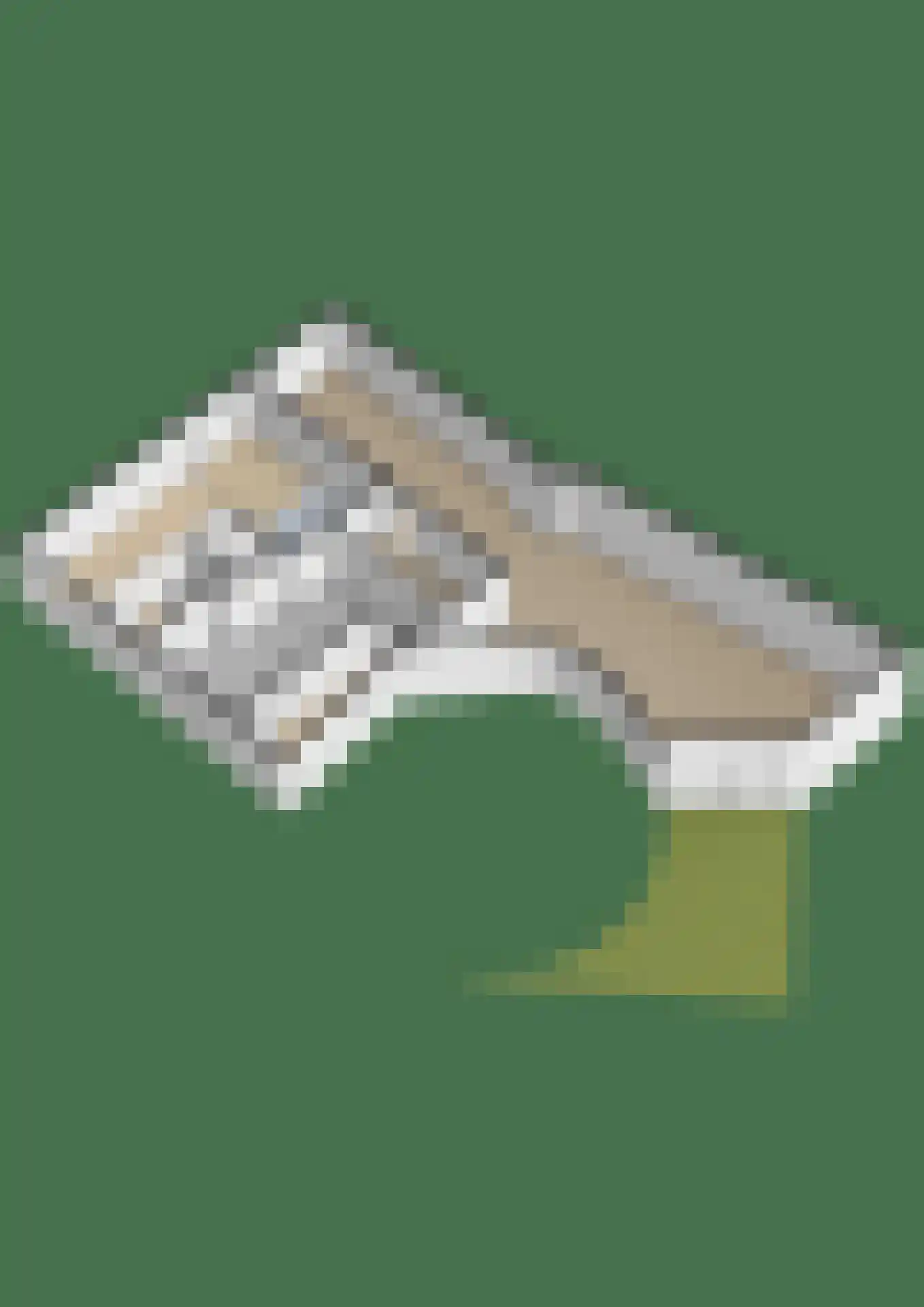 Vest 63 Gouda thumbnail 57