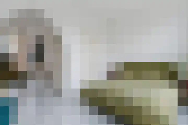 Vest 69 Dordrecht thumbnail 25