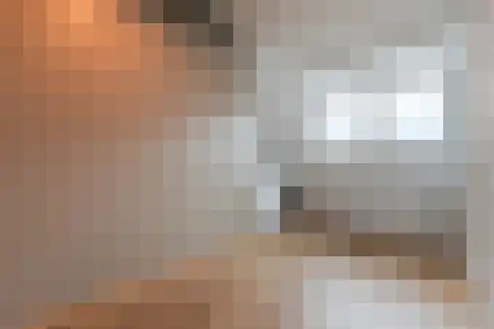 Vest 69 Dordrecht thumbnail 30