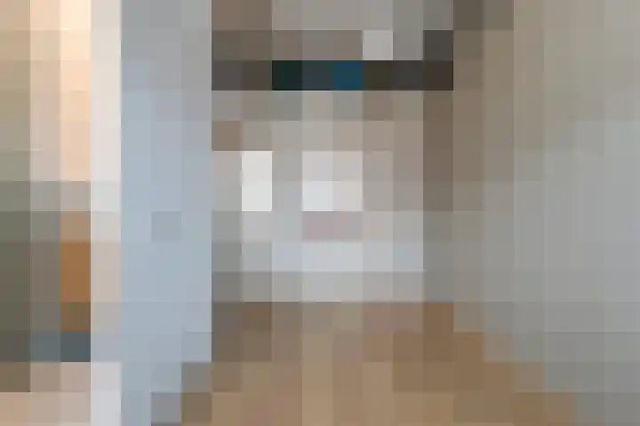 Vest 69 Dordrecht thumbnail 32