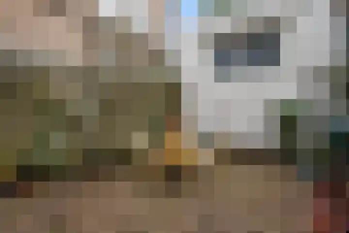 Vest 69 Dordrecht thumbnail 37