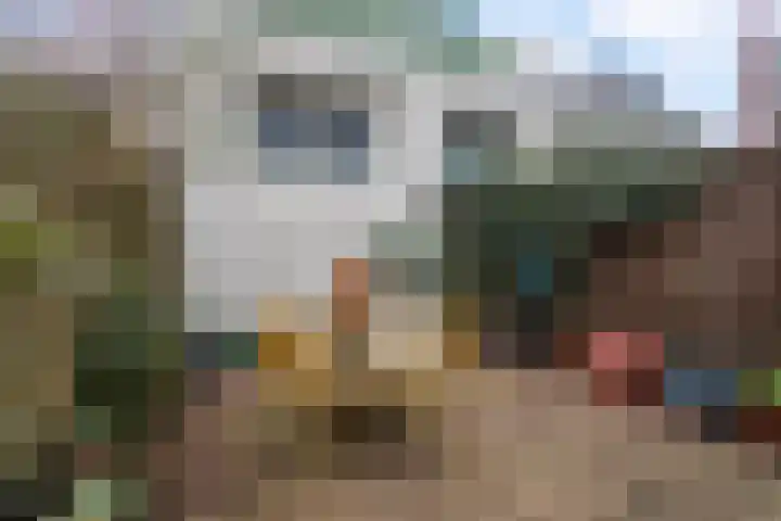 Vest 69 Dordrecht thumbnail 39