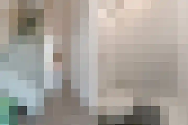 Vest 69 Dordrecht thumbnail 5