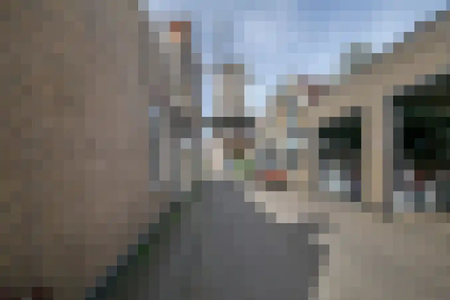 Vest 87 Gouda thumbnail 19