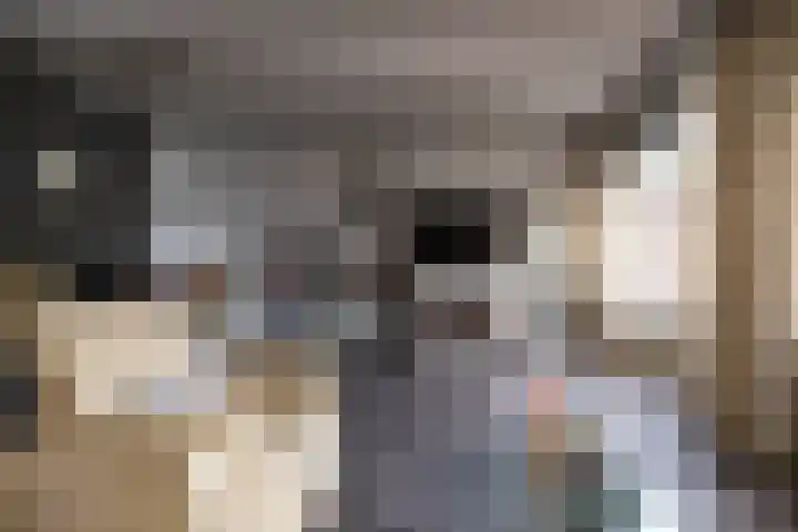 Vesta 12 Hoogezand thumbnail 11
