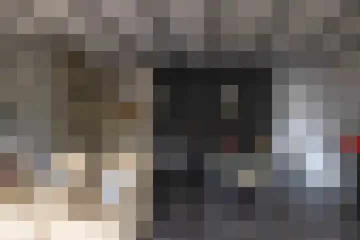 Vesta 12 Hoogezand thumbnail 13
