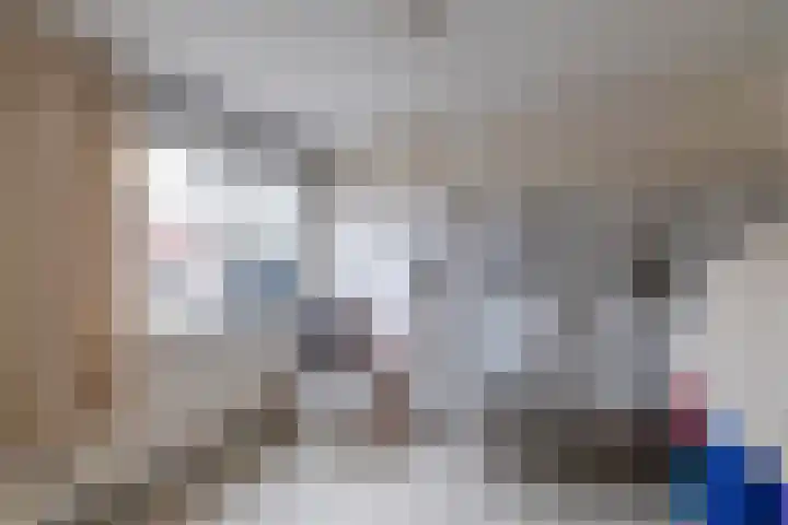 Vesta 12 Hoogezand thumbnail 18