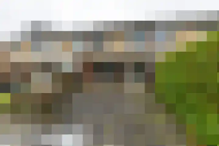 Vesta 12 Hoogezand thumbnail 26
