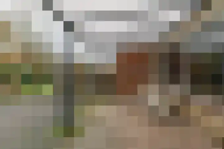 Vesta 12 Hoogezand thumbnail 29