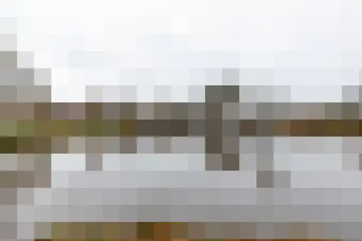Vesta 12 Hoogezand thumbnail 34