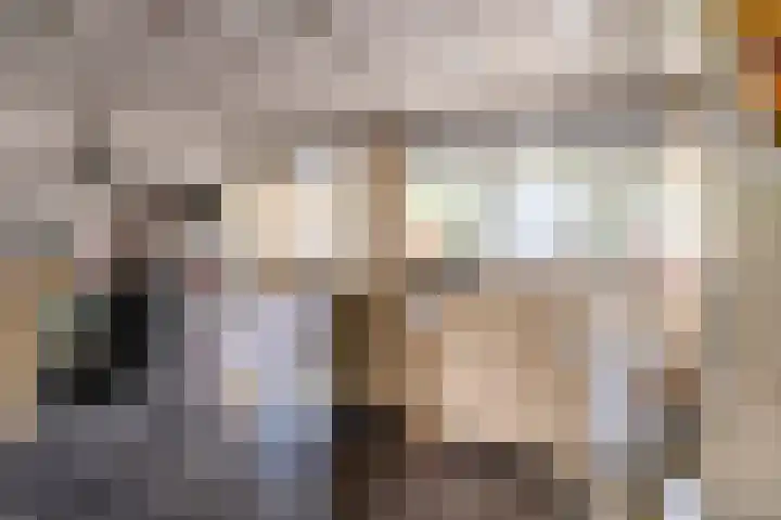 Vesta 12 Hoogezand thumbnail 8