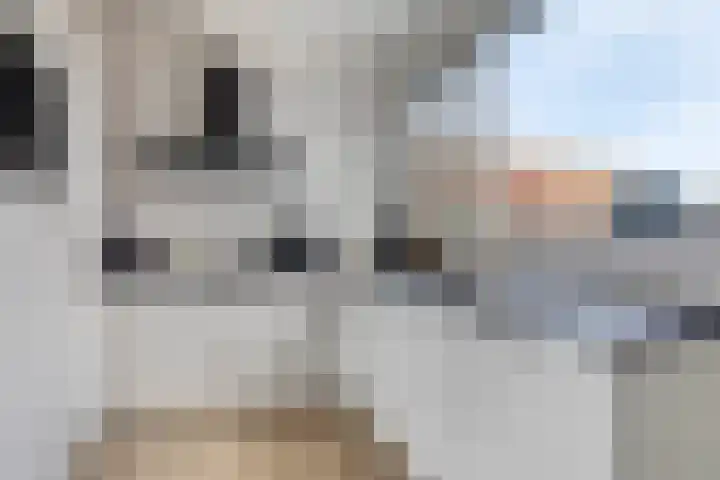 Vesta 14 Hoogezand thumbnail 10