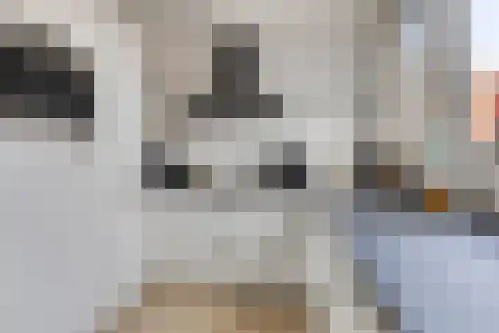 Vesta 14 Hoogezand thumbnail 11