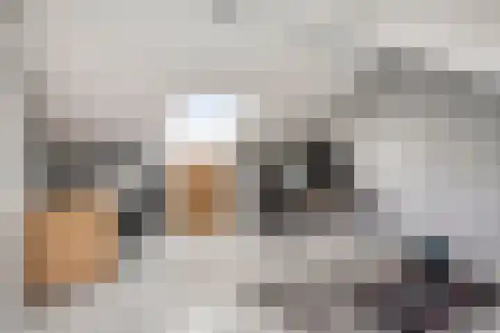 Vesta 14 Hoogezand thumbnail 22