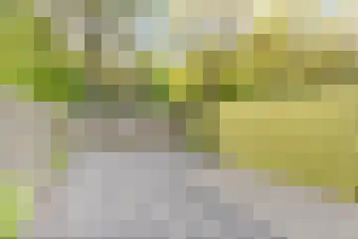 Vesta 14 Hoogezand thumbnail 24