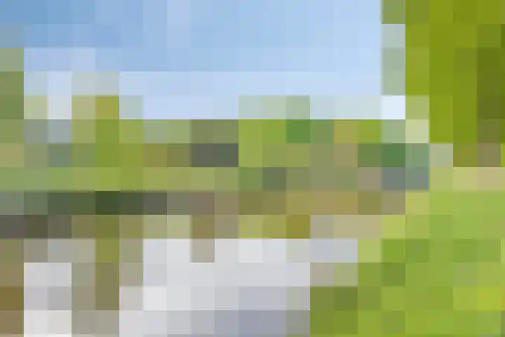 Vesta 14 Hoogezand thumbnail 28
