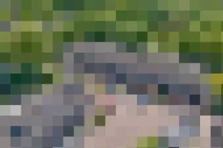 Vesta 14 Hoogezand thumbnail 29