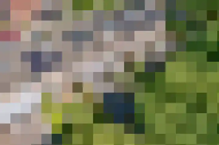 Vesta 14 Hoogezand thumbnail 32