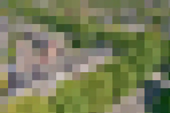 Vesta 14 Hoogezand thumbnail 33