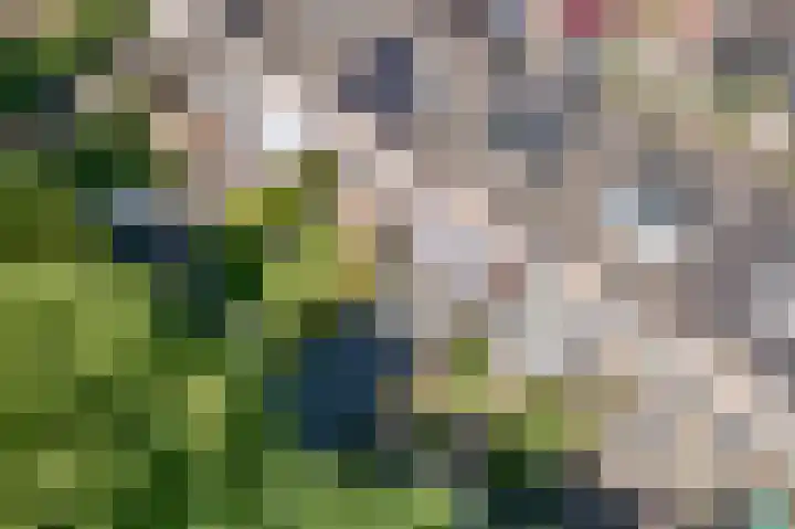 Vesta 14 Hoogezand thumbnail 34