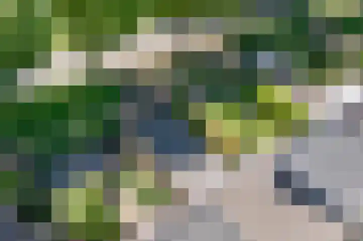 Vesta 14 Hoogezand thumbnail 35