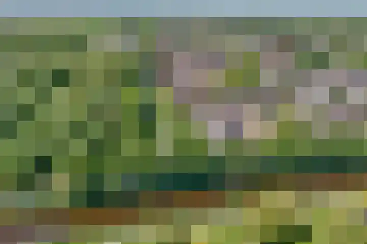 Vesta 14 Hoogezand thumbnail 37