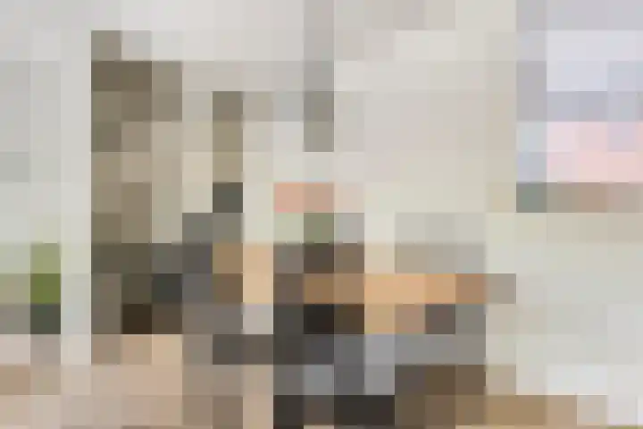 Vesta 14 Hoogezand thumbnail 5
