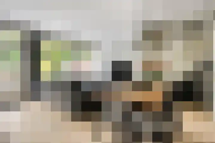 Vesta 14 Hoogezand thumbnail 8