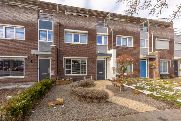 Vesta 25 dans Born photo