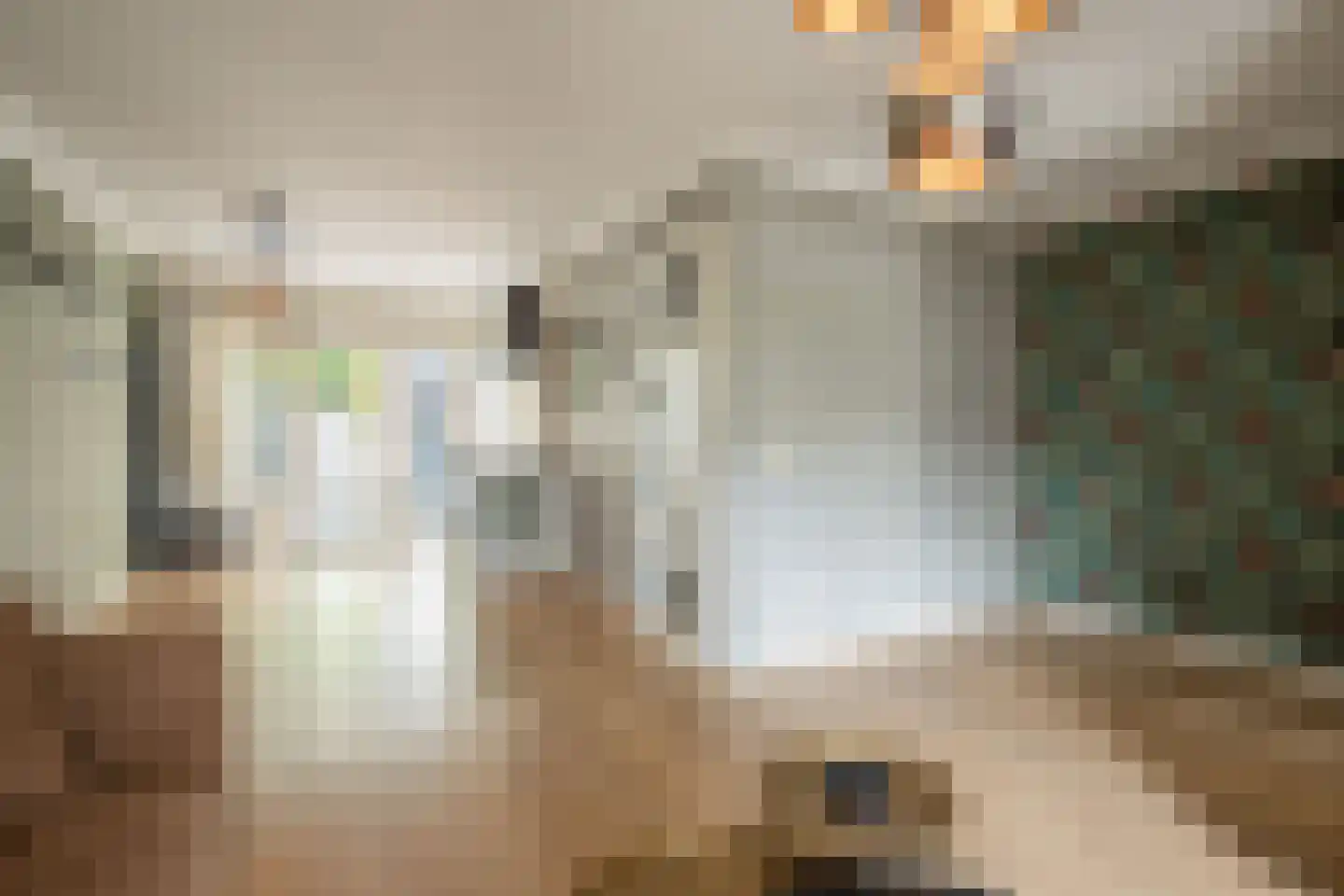 Vesta 25 Born thumbnail 11