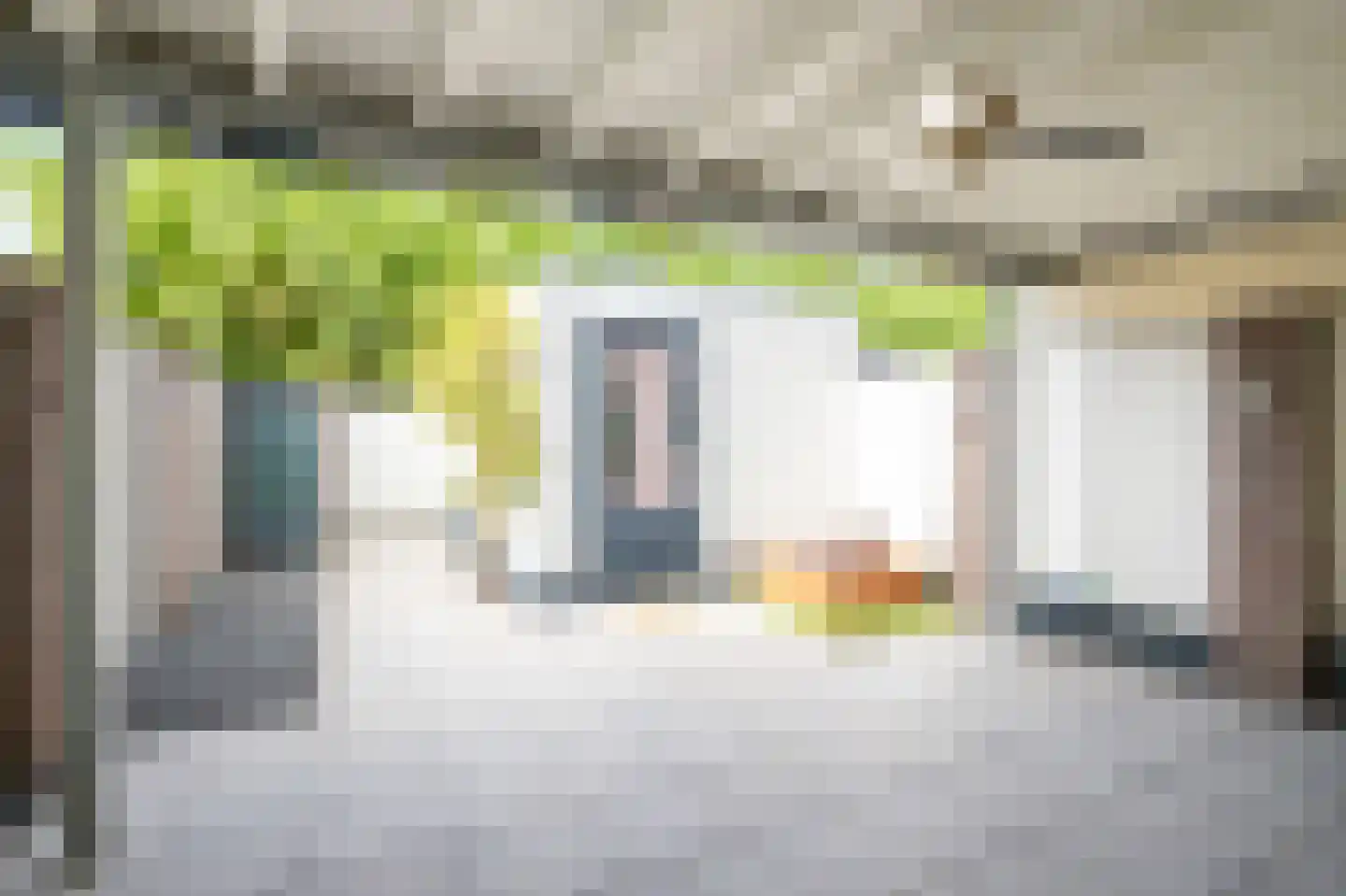 Vesta 25 Born thumbnail 27