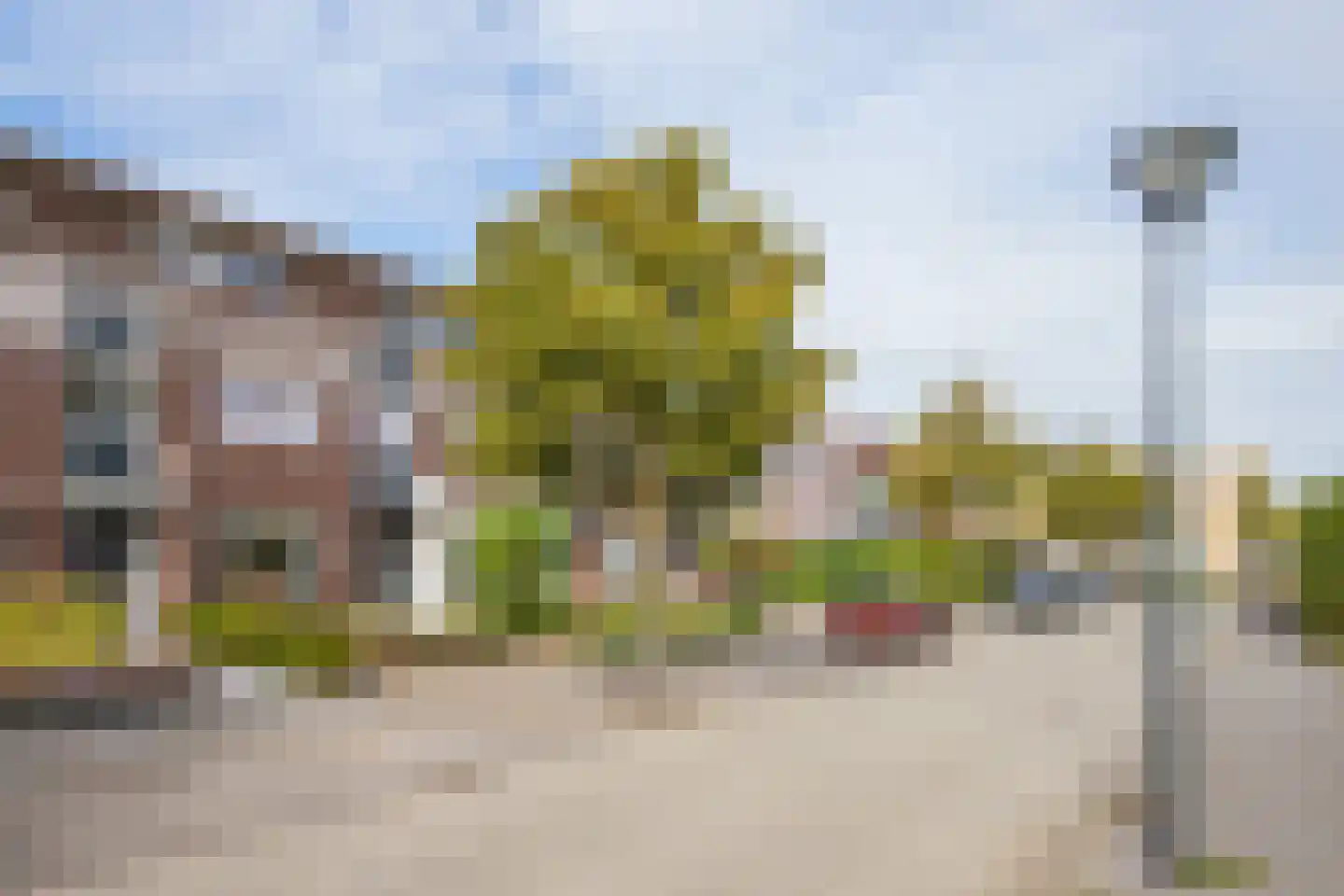 Vesta 25 Born thumbnail 28