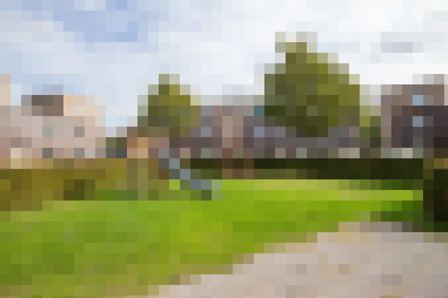 Vesta 25 Born thumbnail 29