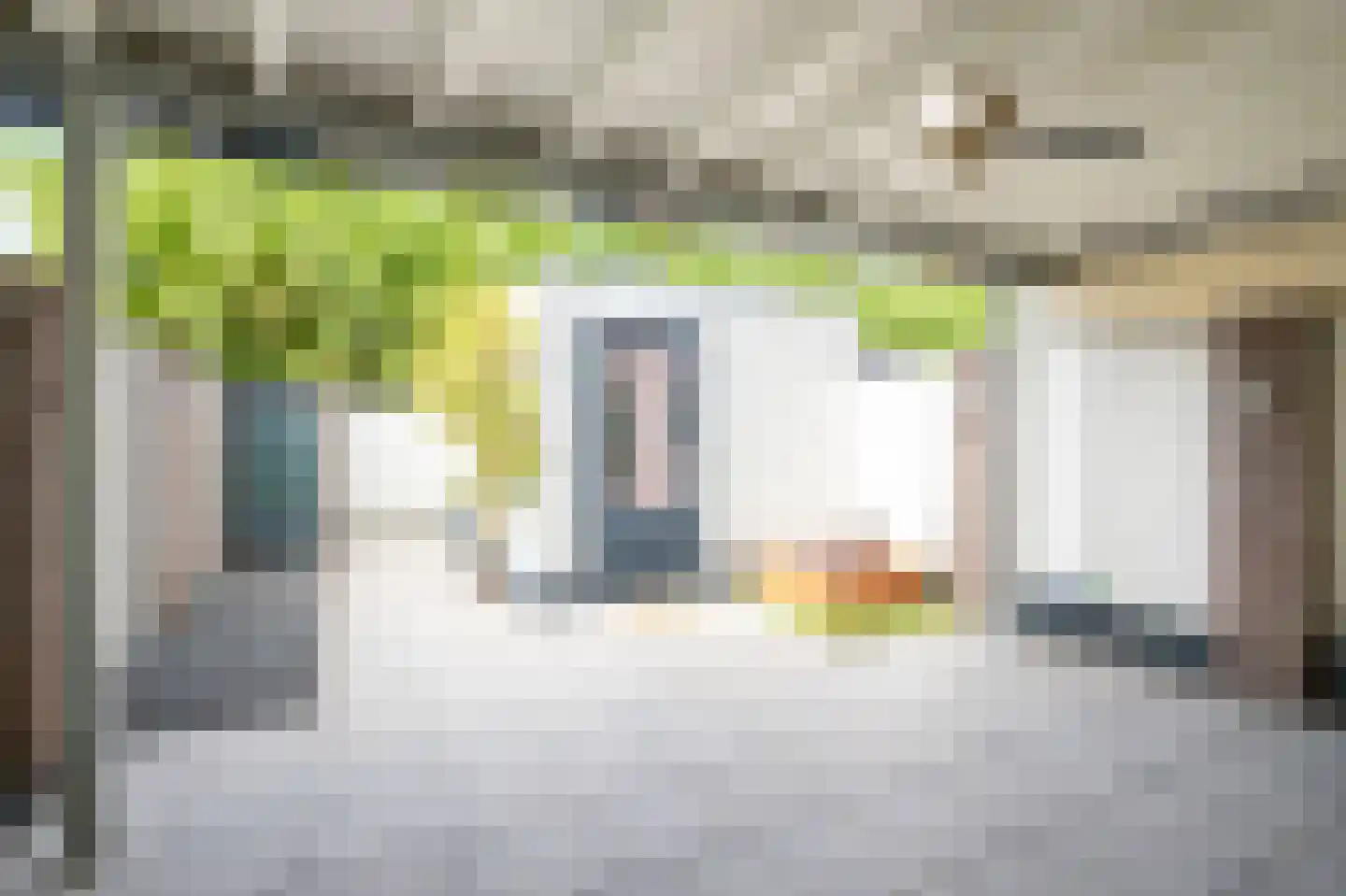 Vesta 25 Born thumbnail 8