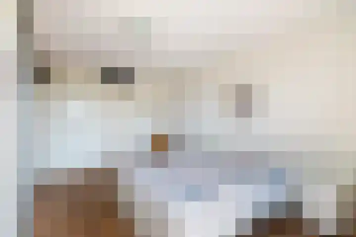 Vesta 35 Wijk bij Duurstede thumbnail 22