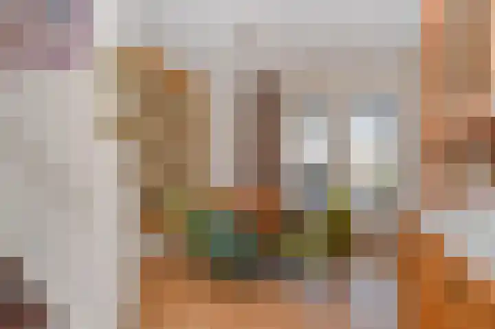 Vesta 5 Born thumbnail 10
