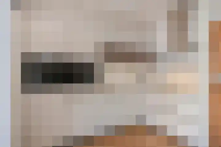 Vesta 5 Born thumbnail 12