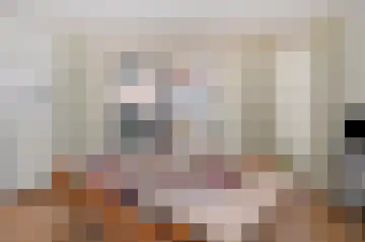 Vesta 5 Born thumbnail 14