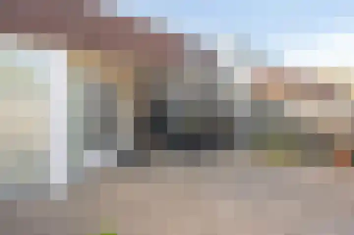 Vesta 5 Born thumbnail 19