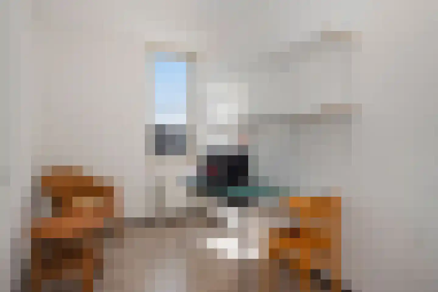 Vesta 5 Born thumbnail 21