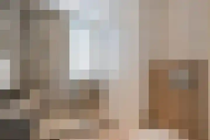Vesta 5 Born thumbnail 23