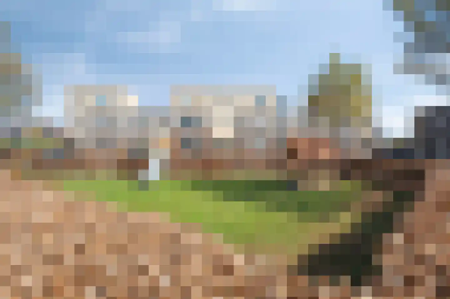 Vesta 5 Born thumbnail 28