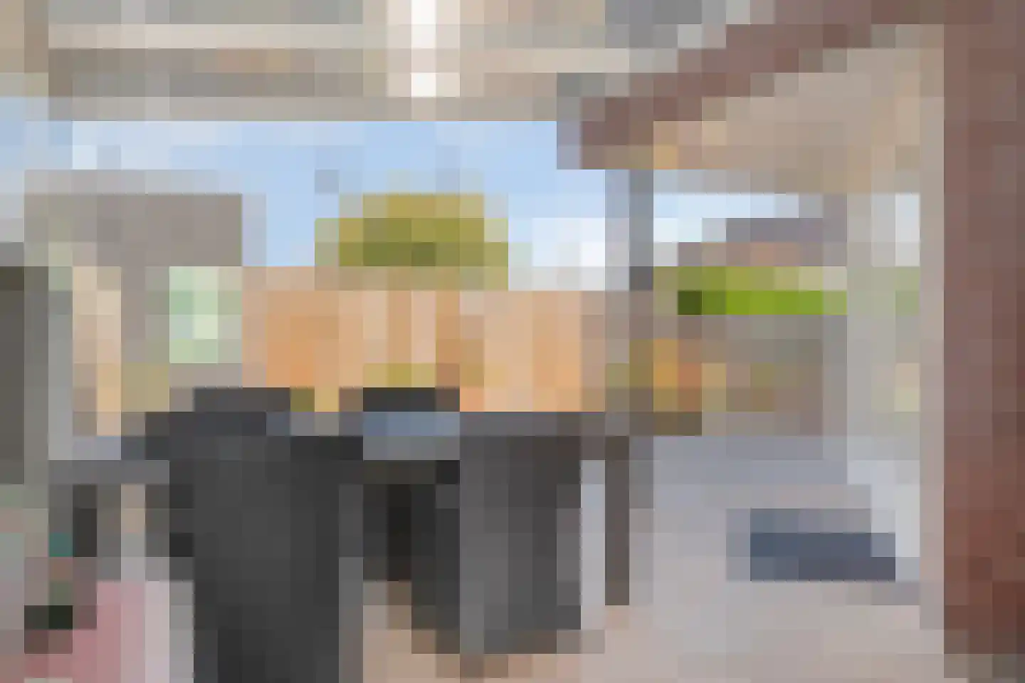 Vesta 5 Born thumbnail 4