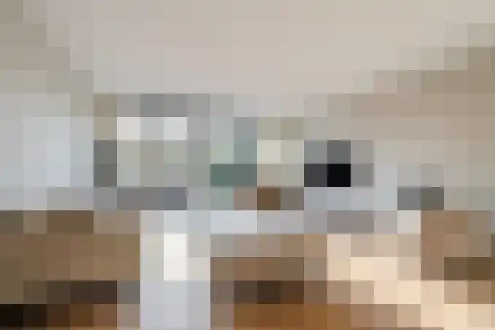 Vesta 5 Katwijk thumbnail 10