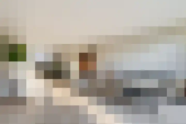 Vesta 5 Katwijk thumbnail 13
