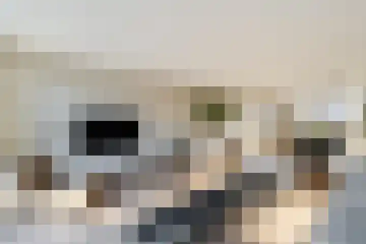Vesta 5 Katwijk thumbnail 14