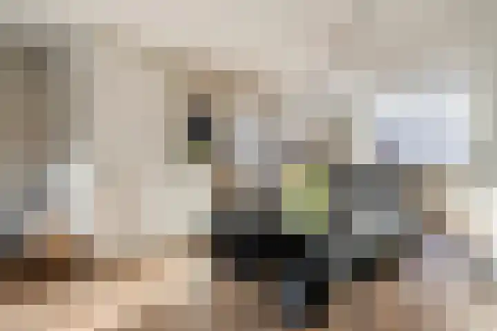 Vesta 5 Katwijk thumbnail 17